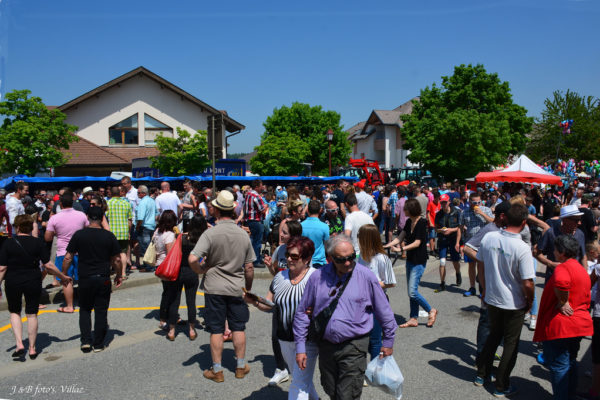 foire-aux-bestiaux-05-2018-19