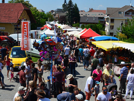 foire-aux-bestiaux-05-2018-20