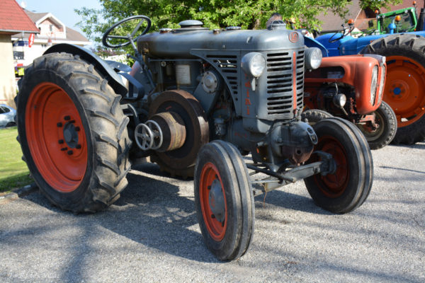 foire-aux-bestiaux-05-2018-5