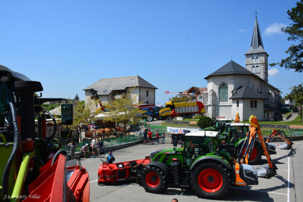 foire-aux-bestiaux-05-2018-6