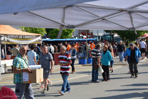 foire-aux-bestiaux-05-2018-8