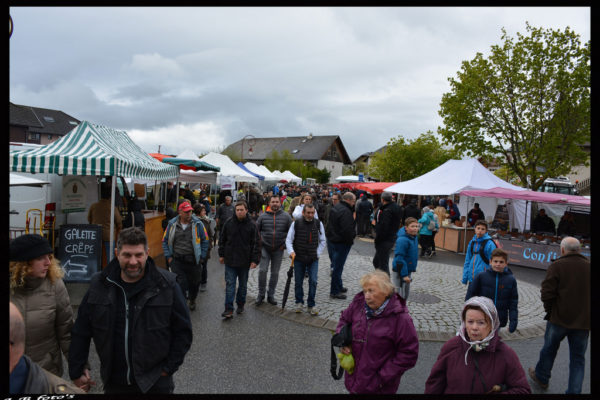 foire-aux-bestiaux-05-2016-10