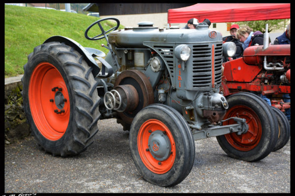 foire-aux-bestiaux-05-2016-12