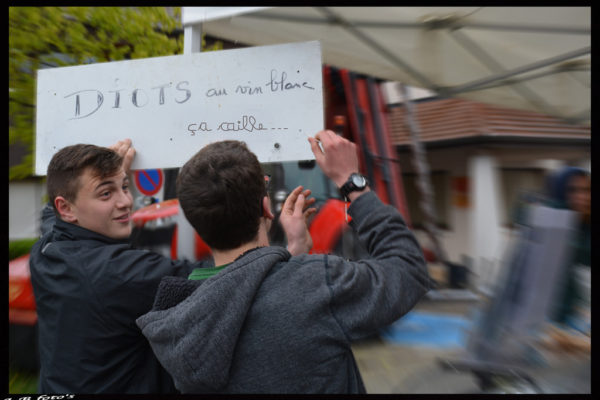 foire-aux-bestiaux-05-2016-5