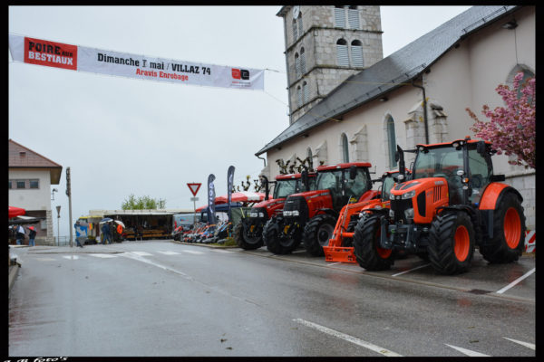 foire-aux-bestiaux-05-2016-9